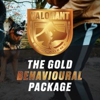 The Gold Behavioural Package
